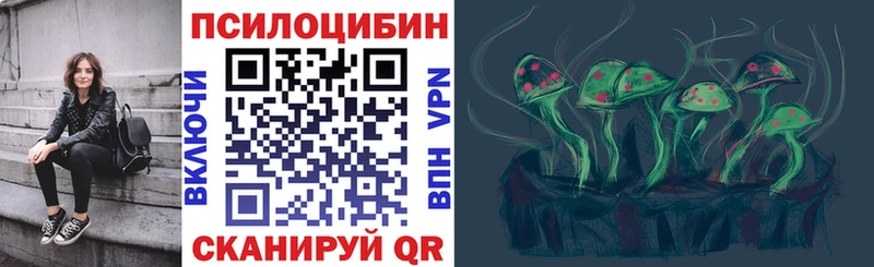 Псилоцибиновые грибы Psilocybe  цены   даркнет состав  Петропавловск-Камчатский 